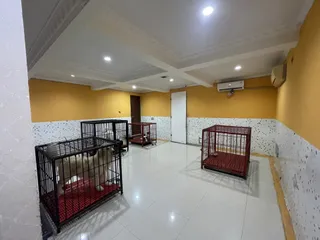 Ruang kandang di camp Faunafella Dog