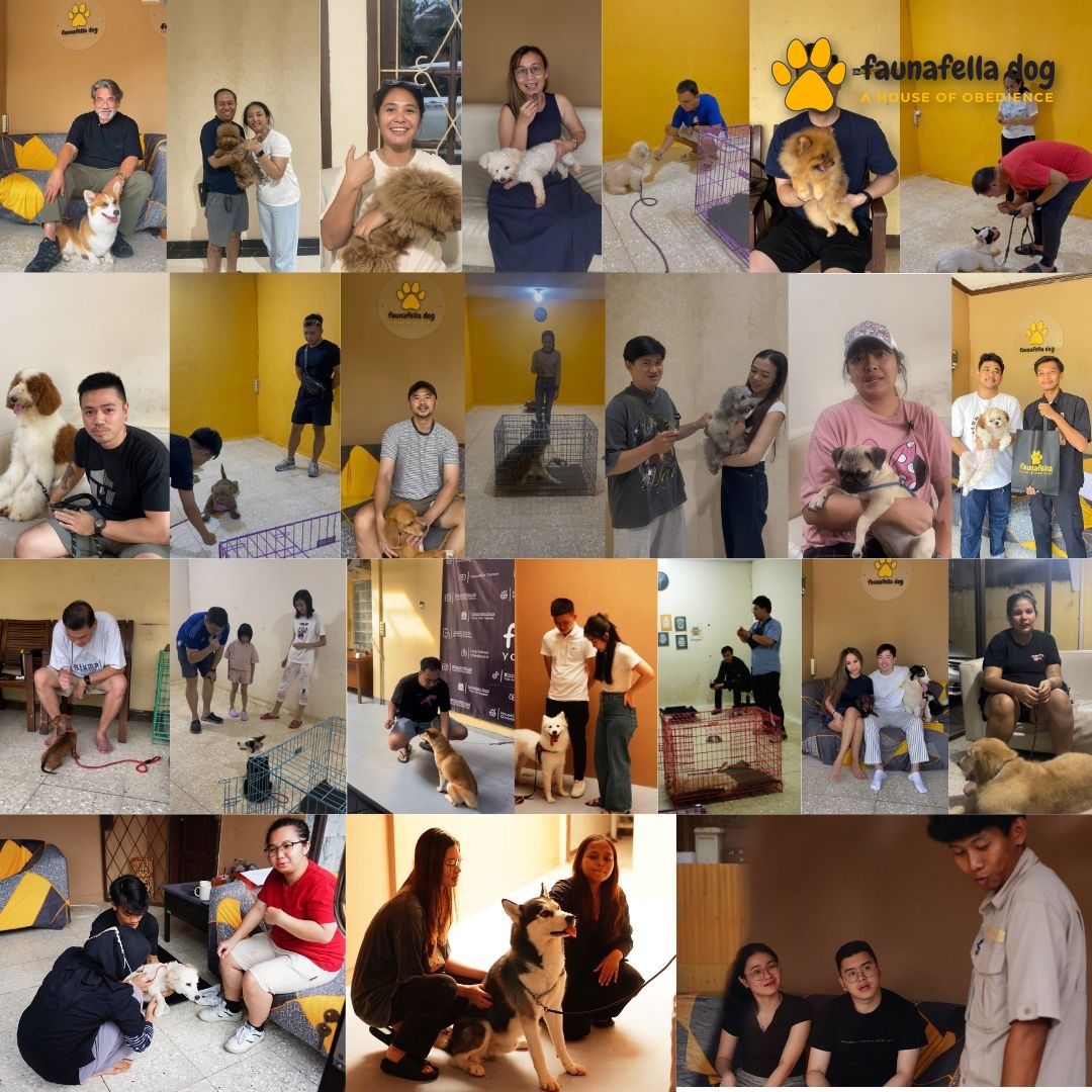 Kolase owner dan anjingnya yang sudah lulus program Faunafella Dog