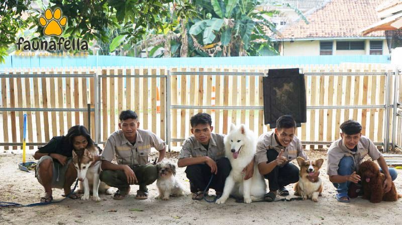 Tim trainer Faunafella Dog bareng anjing-anjing yang mereka tangani